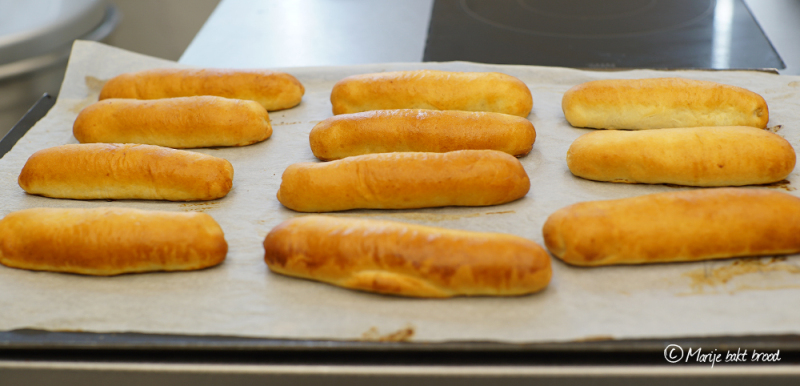 Worstenbroodjes van Robert van Beckhoven gebakken op de bakplaat