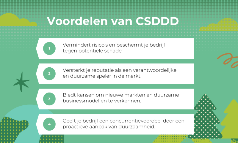 voordelen van CSDDD