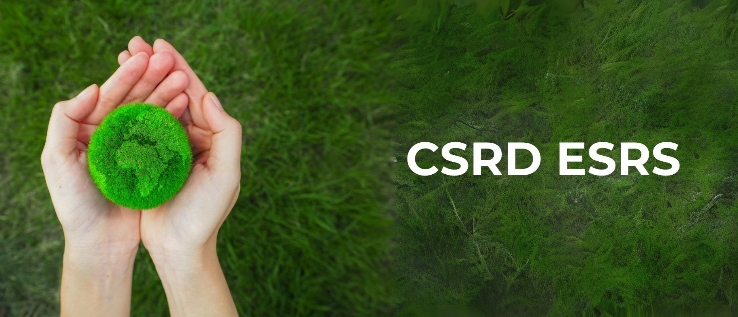 CSRD ESRS: De nieuwe standaard in duurzaamheidsrapportage
