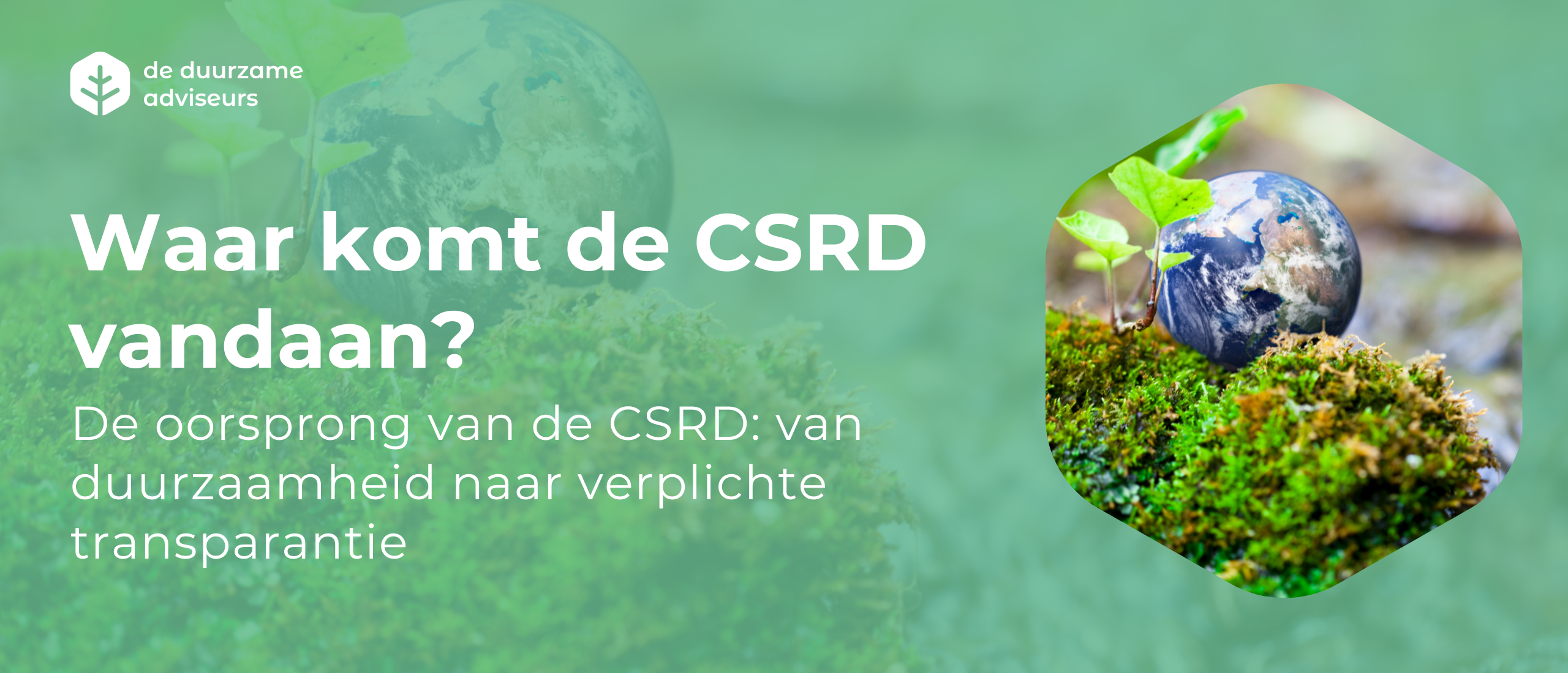 Waar komt de CSRD vandaan? De oorsprong van de richtlijn