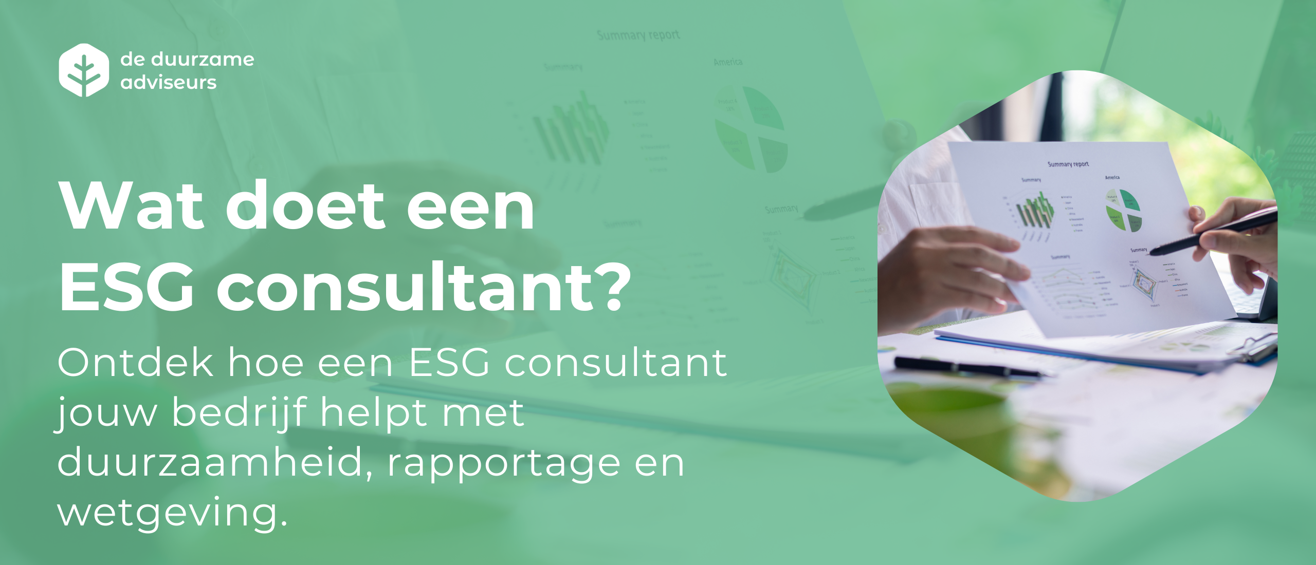 ESG consultant