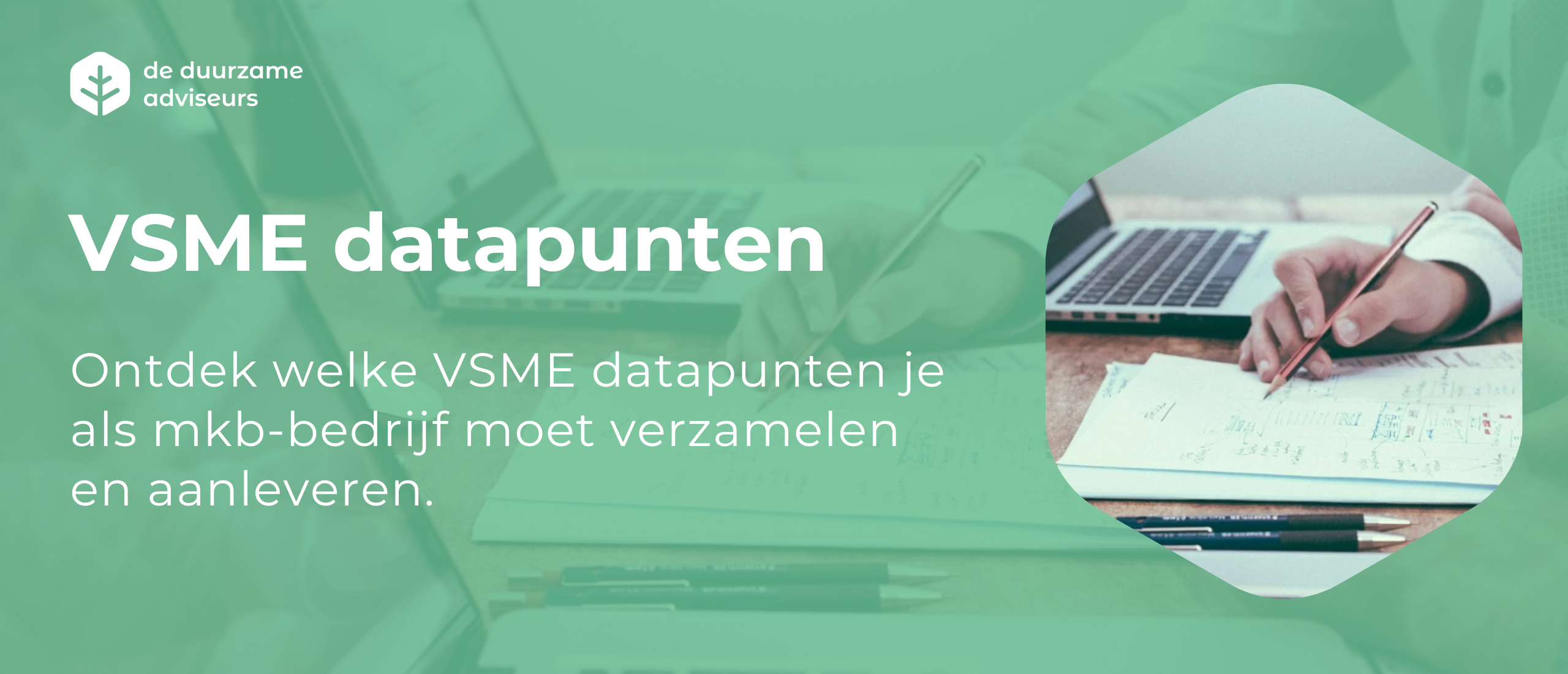 VSME datapunten