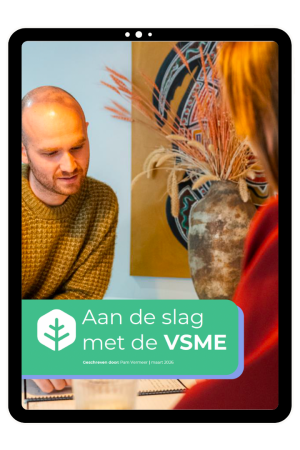 whitepaper VSME front