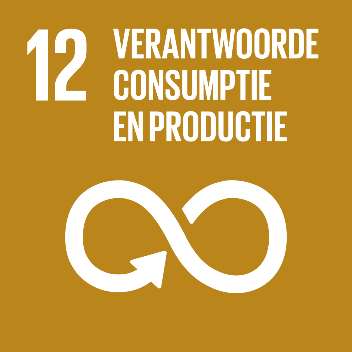 Sustainable Development Goal 12: Verantwoorde consumptie en productie