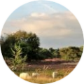 Klausurtag