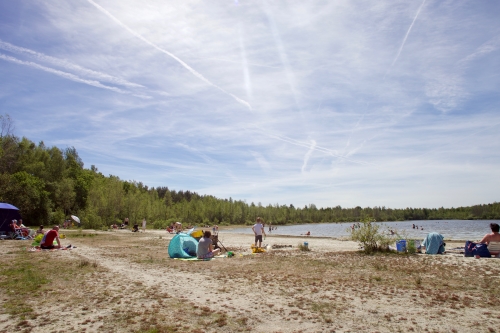 Zwemmen in het Canadameer bij Groepsaccommodatie de Friese Ardennen