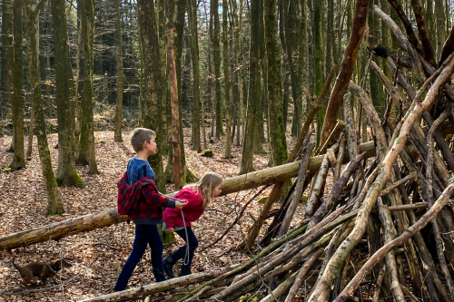 Bouw je hut bouwen in het Drents-Friese Wold