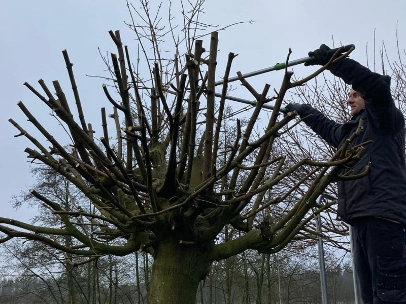 De Gebroeders de Vries - Tuinonderhoud