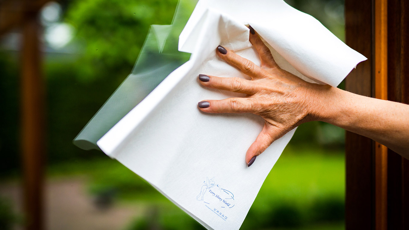 Ferry Shiny World Ramendoek – Goedgekeurd