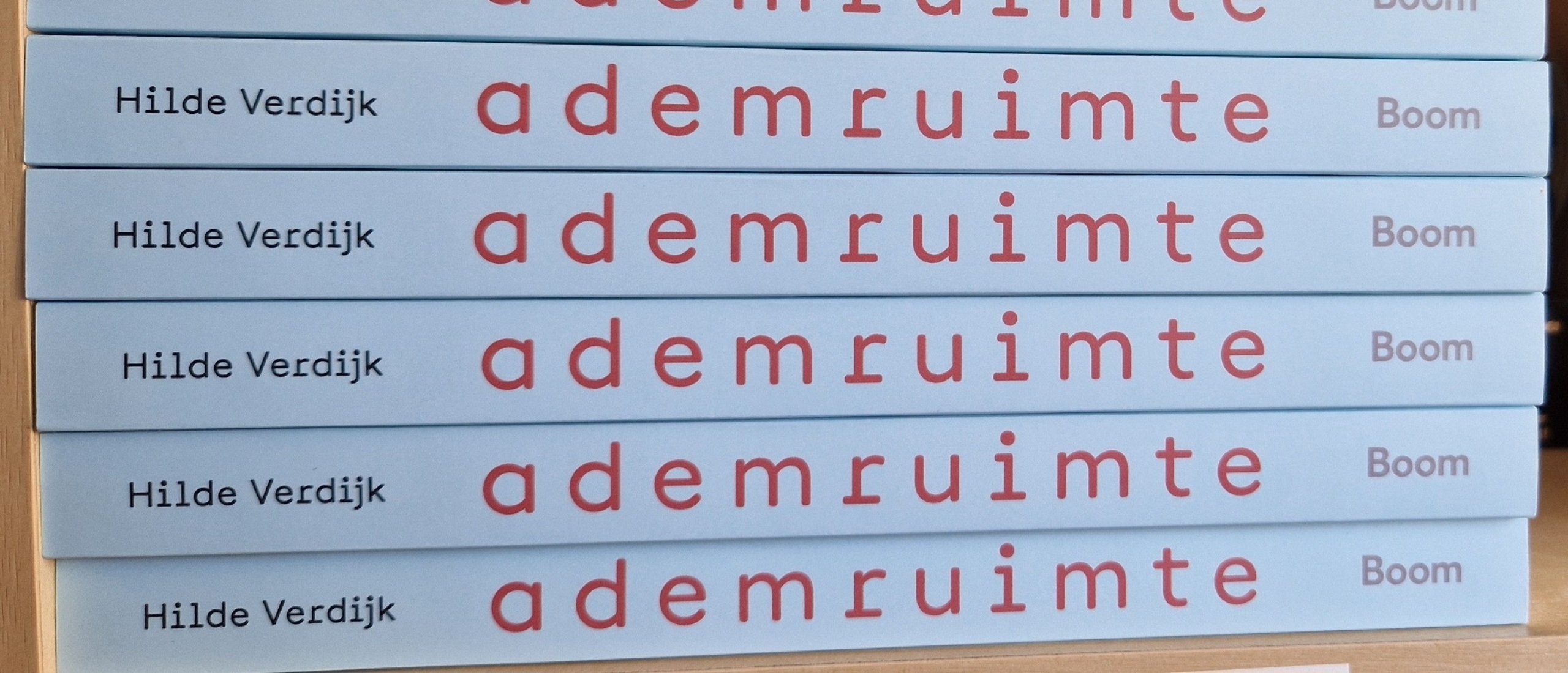 Ademruimte Hilde Verdijk Review