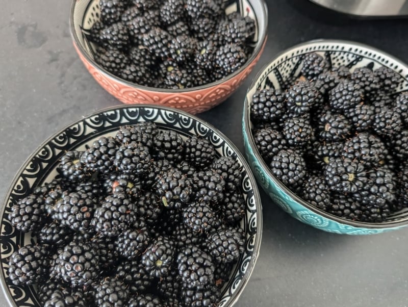 zelfgemaakte bramenjam