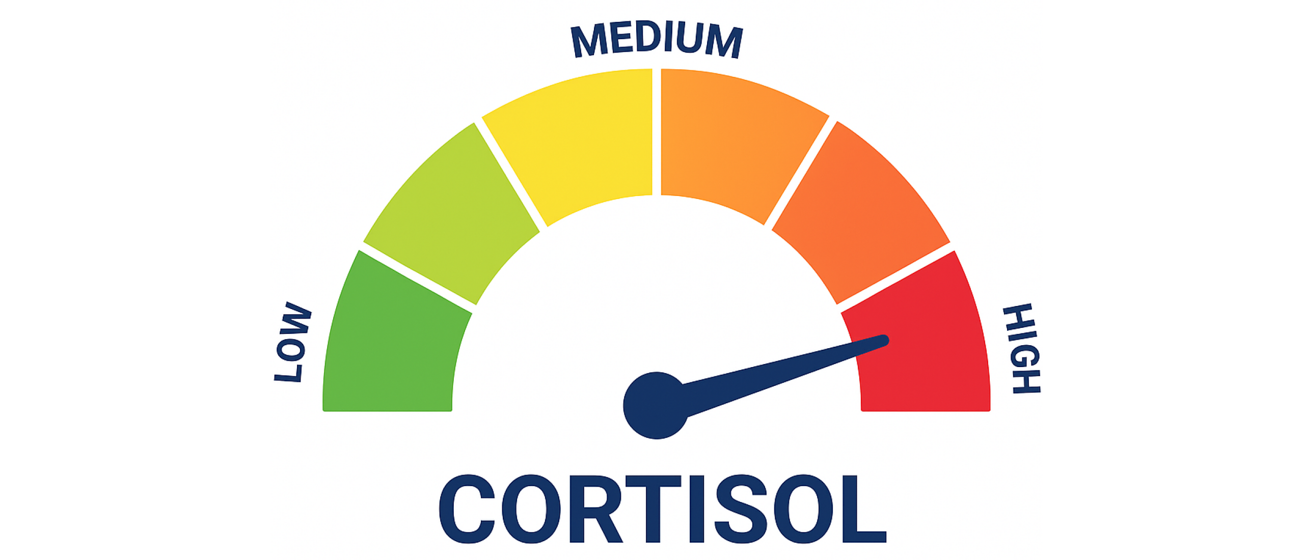 Psychologie van het opruimen