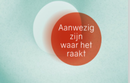 Systemisch werken bij organizing