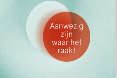 Systemisch werken bij organizing
