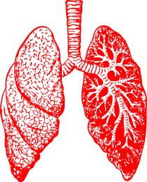 Voordelen van ademtechnieken