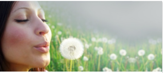 Cursus oplossingsgericht coachen