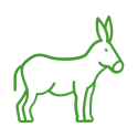 Donkey Icon | De Kleine Hoeve