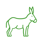 Donkey Icon | De Kleine Hoeve