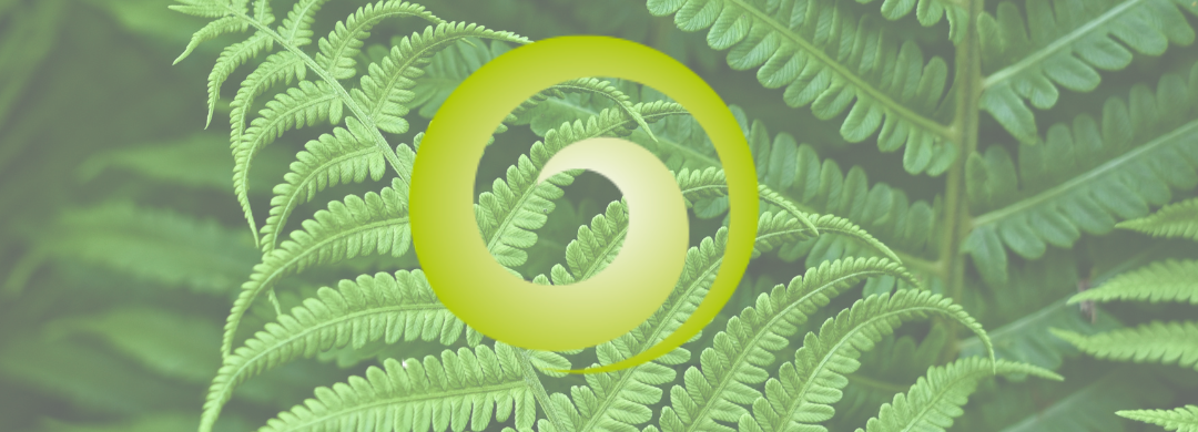 De Koru Stijl