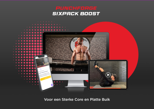 platte buik online programma