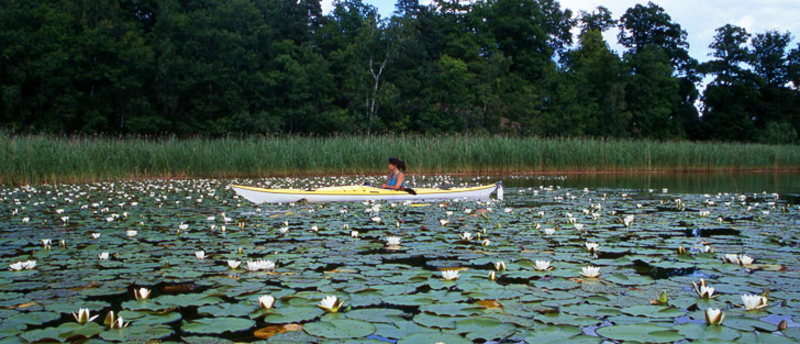 Canoe Rental (tip!)