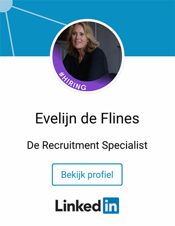LinkedIn Evelijn de Flines