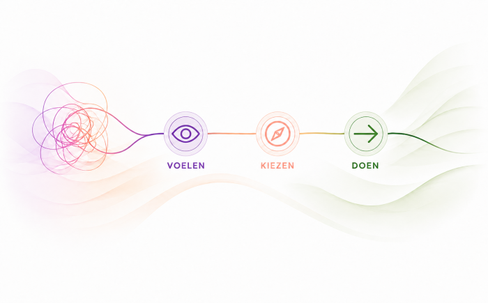 Visual van de PACT-methode met drie stappen: voelen, kiezen en doen, weergegeven als een vloeiende lijn van onrust naar richting en bewust handelen.