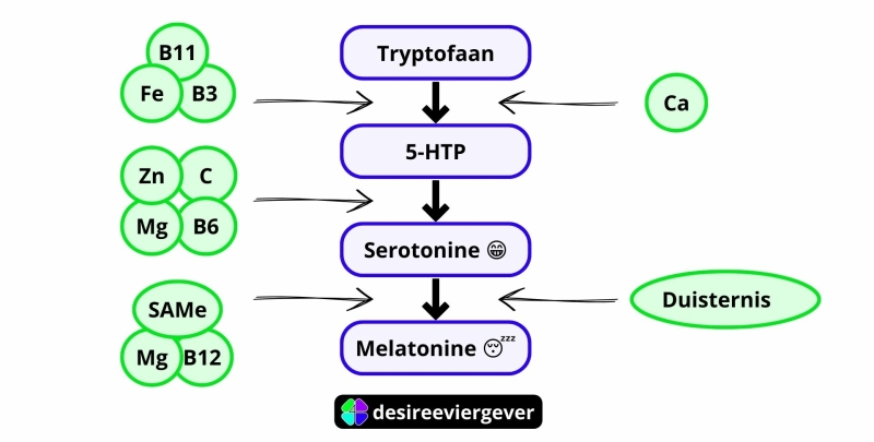 aanmaak-melatonine-vitamines-en-mineralen-tryptofaan-serotonine