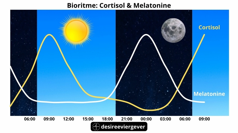 Circadiaans ritme - bioritme melatonine vs cortisol