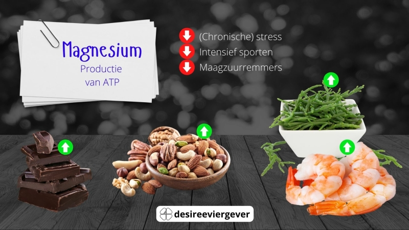 Oorzaken van tekorten en voedingsmiddelen met meeste Magnesium