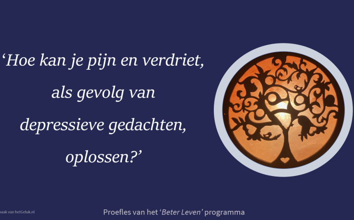 Deze proefles brengt je weer verder