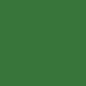 antislip vlonderstrip - groene kleur