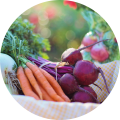 keto paleo koolhydraatarm detox gratis