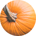 voedselallergie detox ontgiften van gifbelt