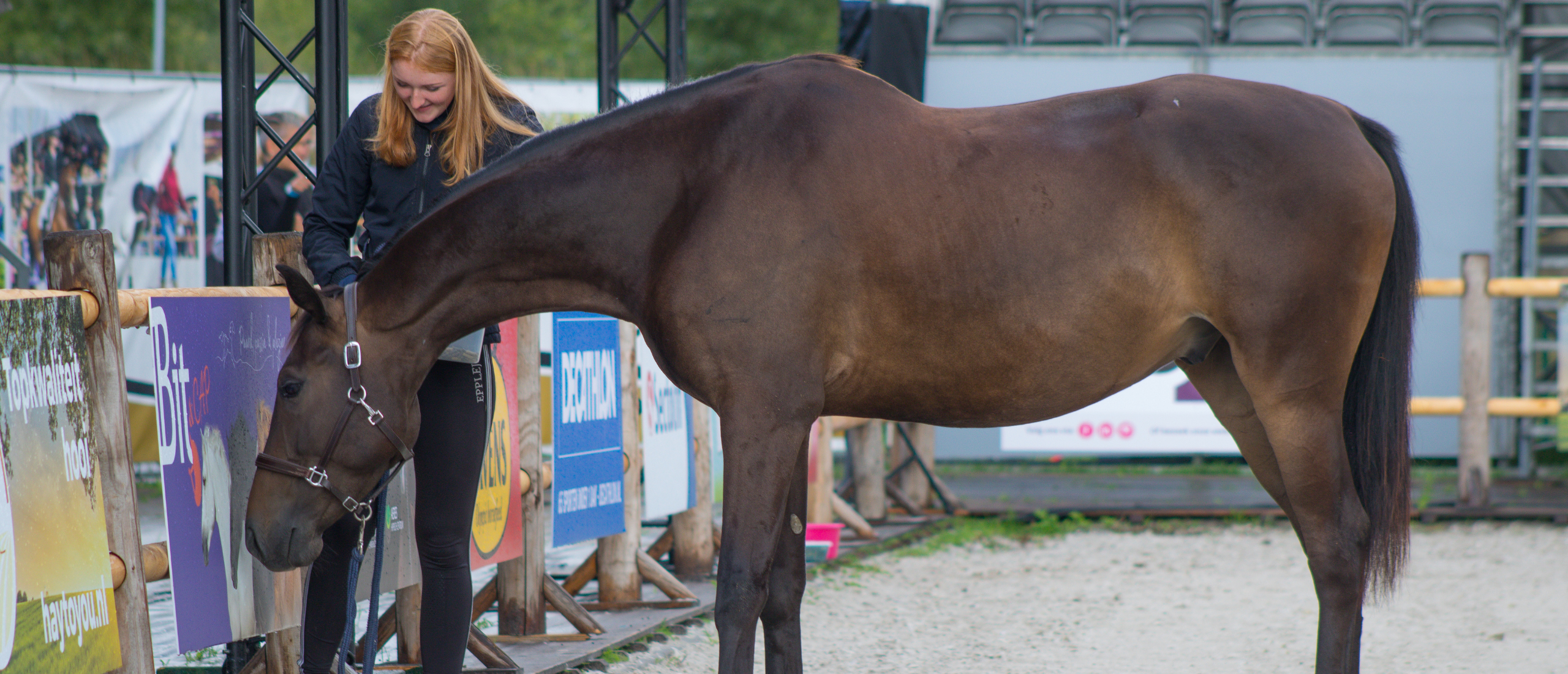 Hoe help ik mijn paard bij stress en spanning?