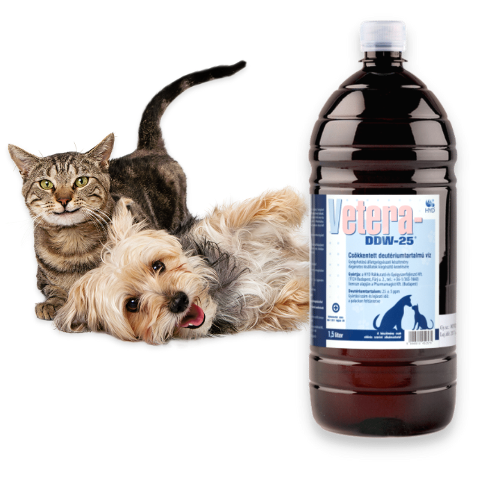 Kat en hond met Vetera-DDW-25® Kat en hond met Vetera-DDW-25®