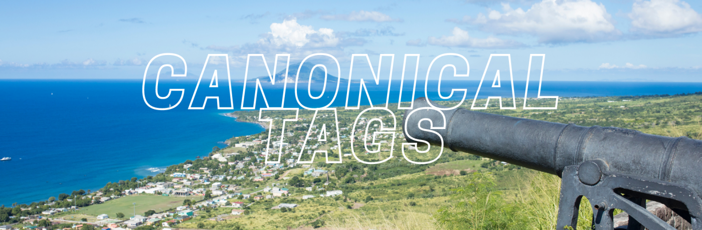 Wat is een canonical tag? Wat is een canonical tag?
