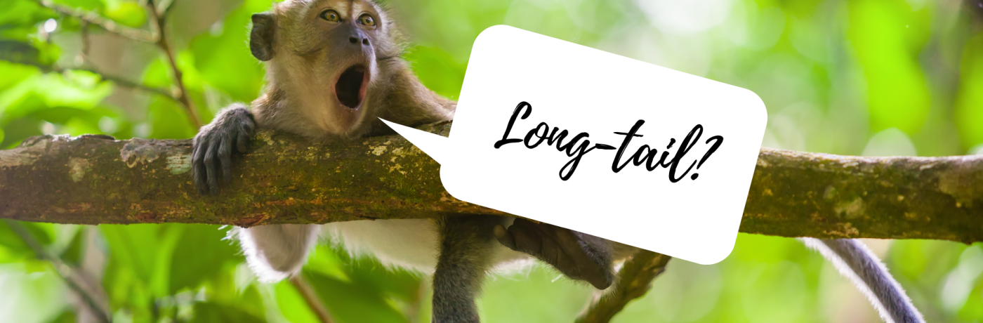Wat zijn long-tail zoekwoorden? Wat zijn long-tail zoekwoorden?