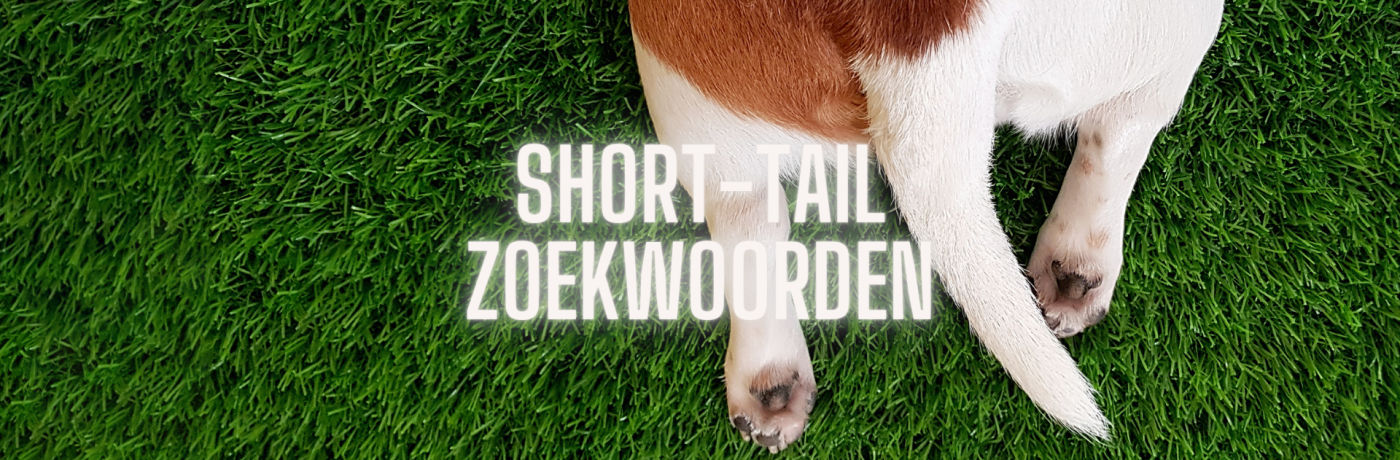 Wat zijn short-tail zoekwoorden? Wat zijn short-tail zoekwoorden?
