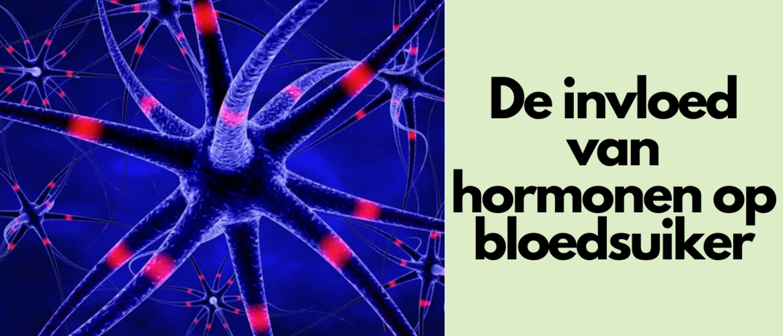 de-invloed-van-hormonen-op-bloedsuiker