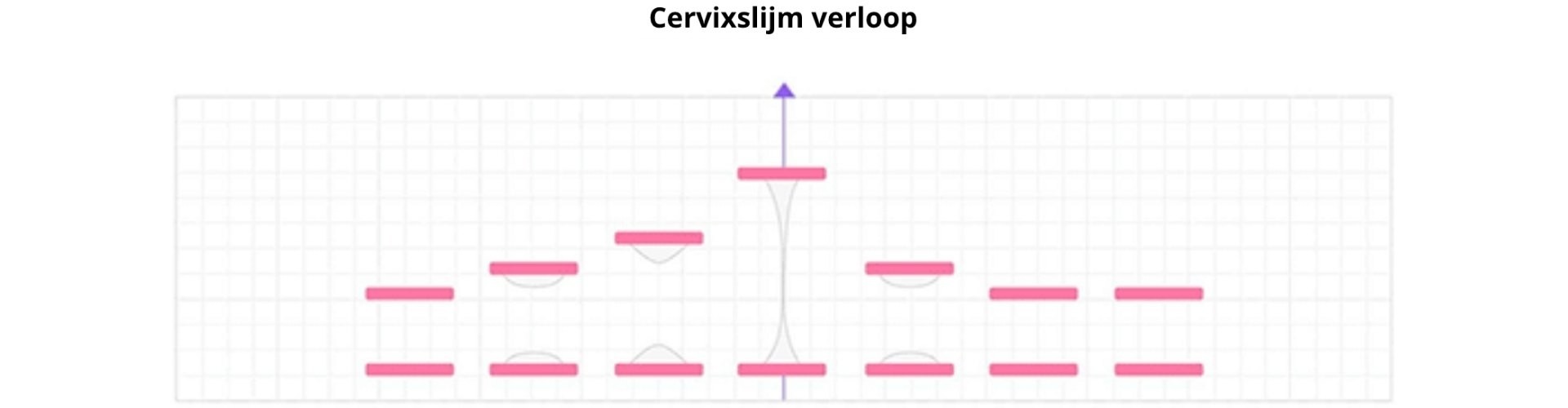 Grafische weergave van de verandering van het cervixslijm gedurende de cyclus | DICHA