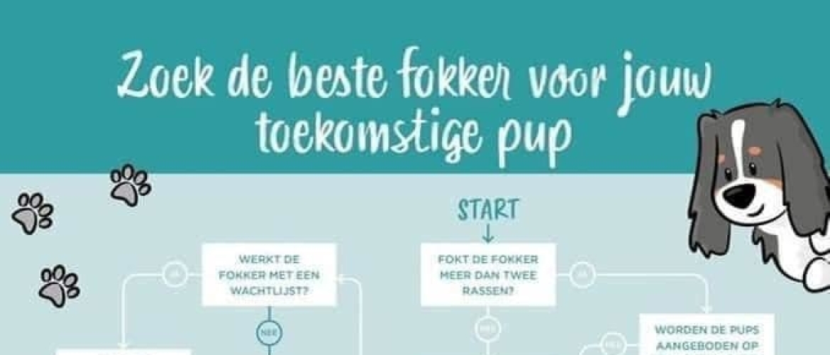 Zoek de beste fokker voor uw toekomstige pup