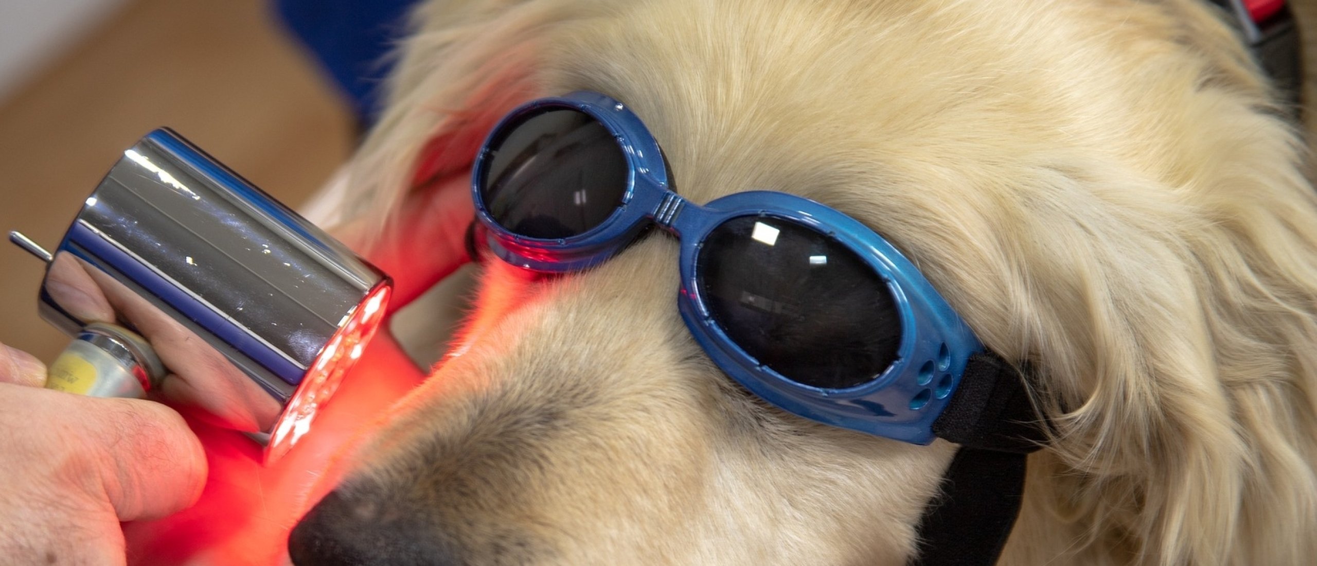 Lasertherapie