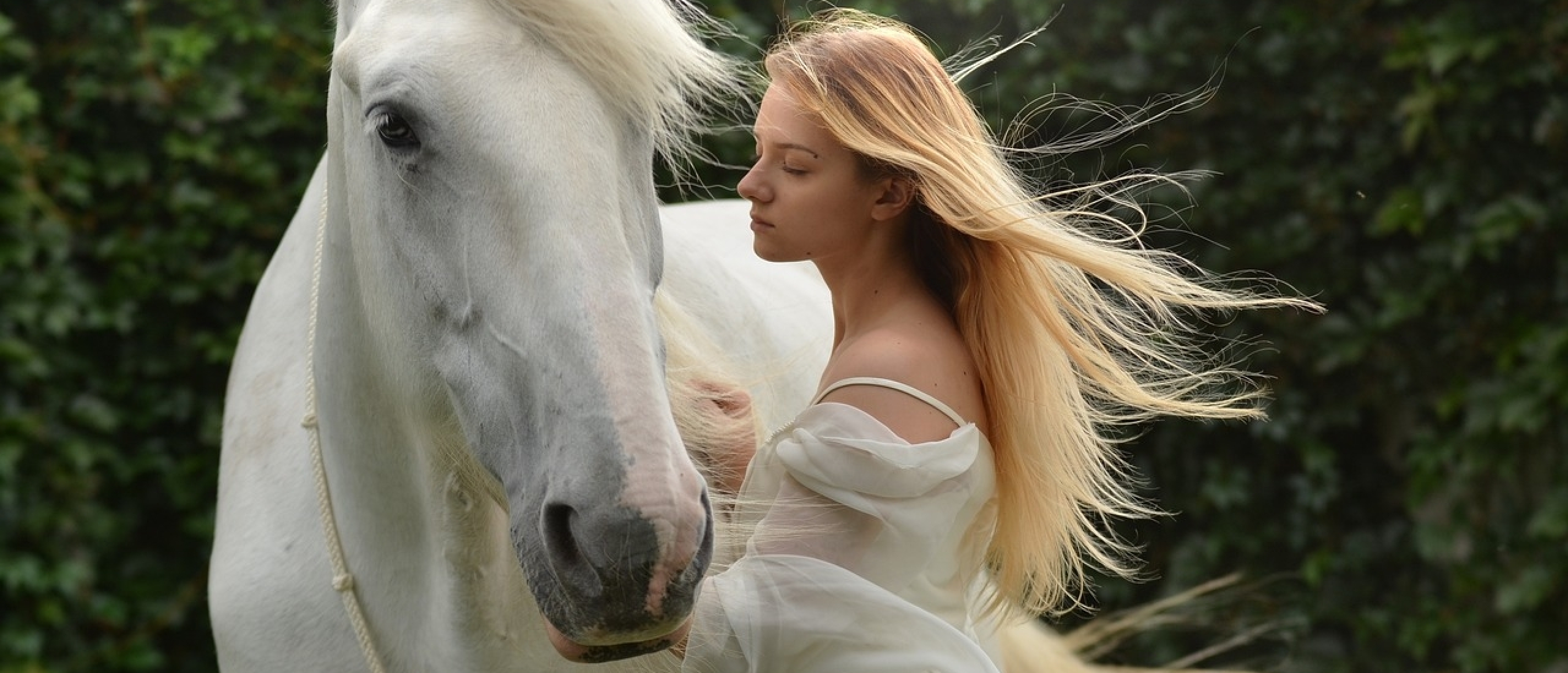 Hoe therapeutische paarden mensen transformeren.