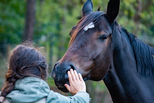 Paardentherapie kan waardevol zijn in verschillende situaties, maar het is ook belangrijk om te erkennen dat het niet voor iedereen en niet in alle omstandigheden geschikt is.