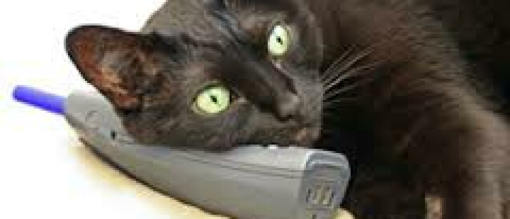 Hoe weet ik of ik met het juiste dier praat?