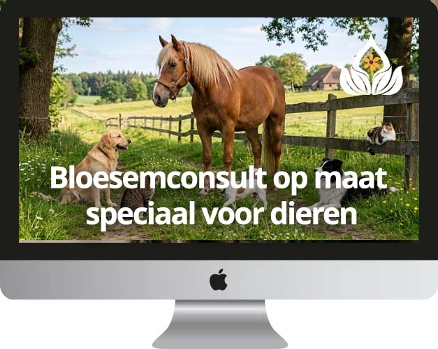 bloesemmix-voor-dieren bloesemmix-voor-dieren