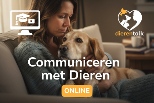 communiceren. met dieren online cursus