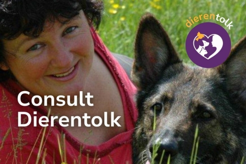 vraag een consult aan