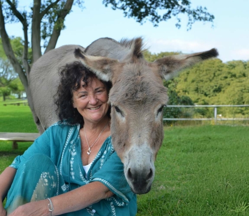 dierentolk consult aanvragen